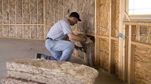 Best Soundproof Insulation  in Faison, NC